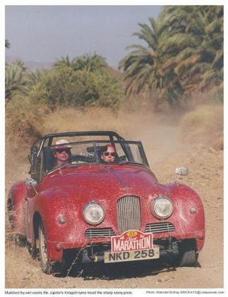 African Rally[1].jpg