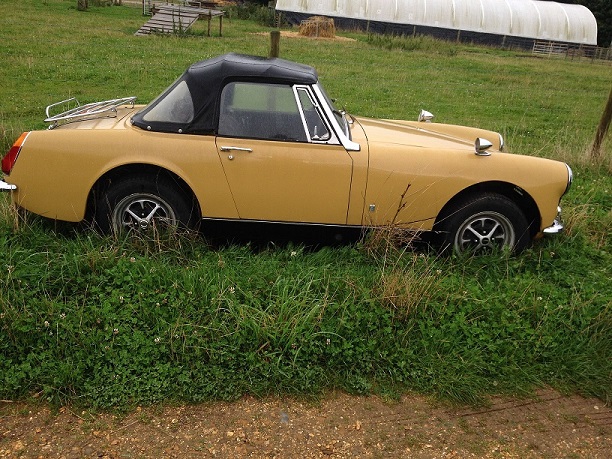 charity calendar 003.JPG