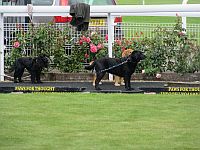 IMG_1296.JPG